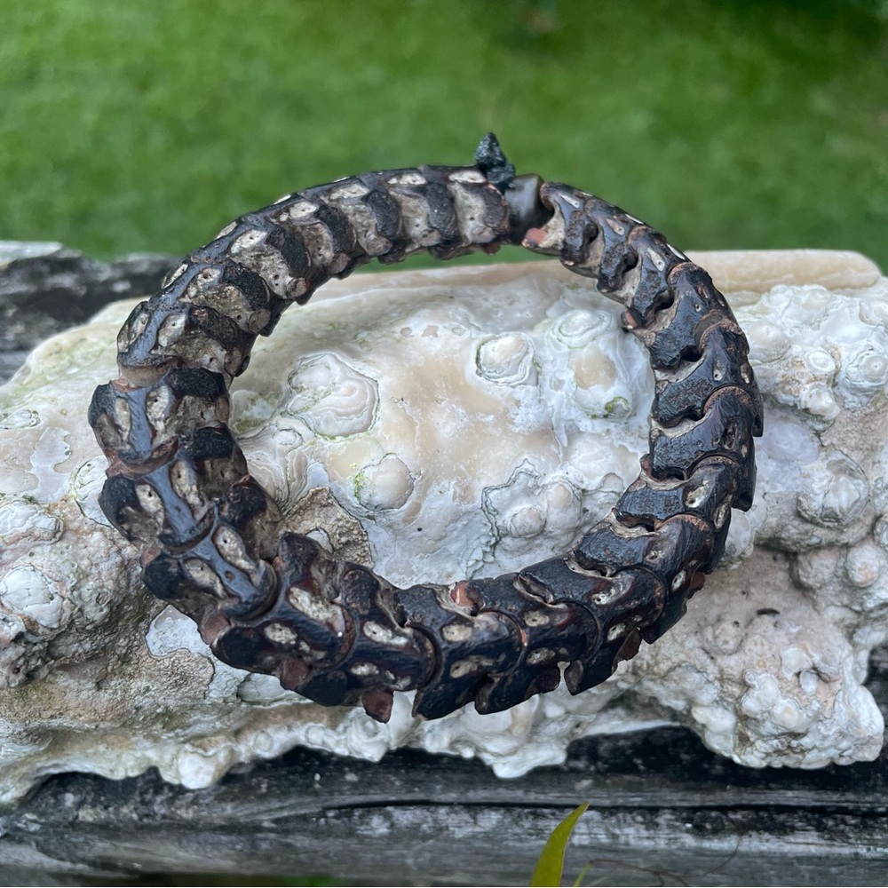 African snake vertebrae bracelet. Strung on cord with a slight give. Metal bead.
